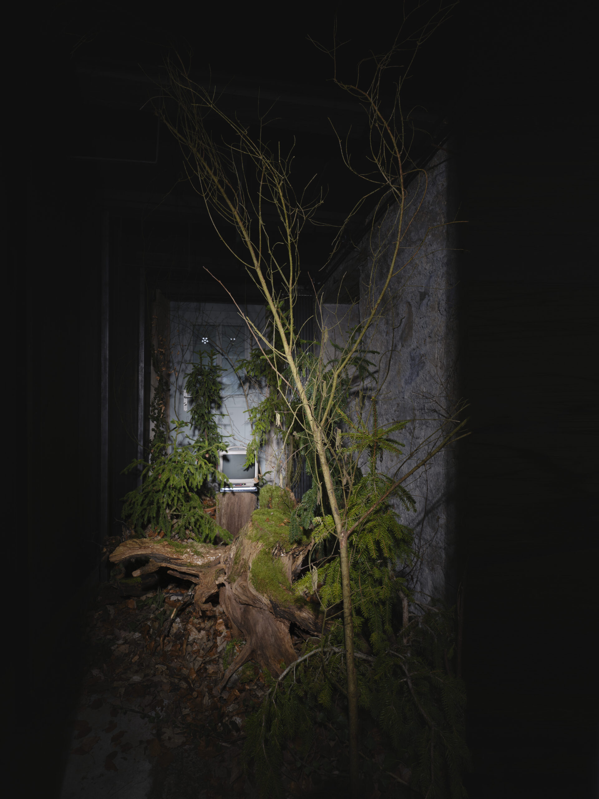 sarahkimstudio. Fotograf Luzern, Adligenswil