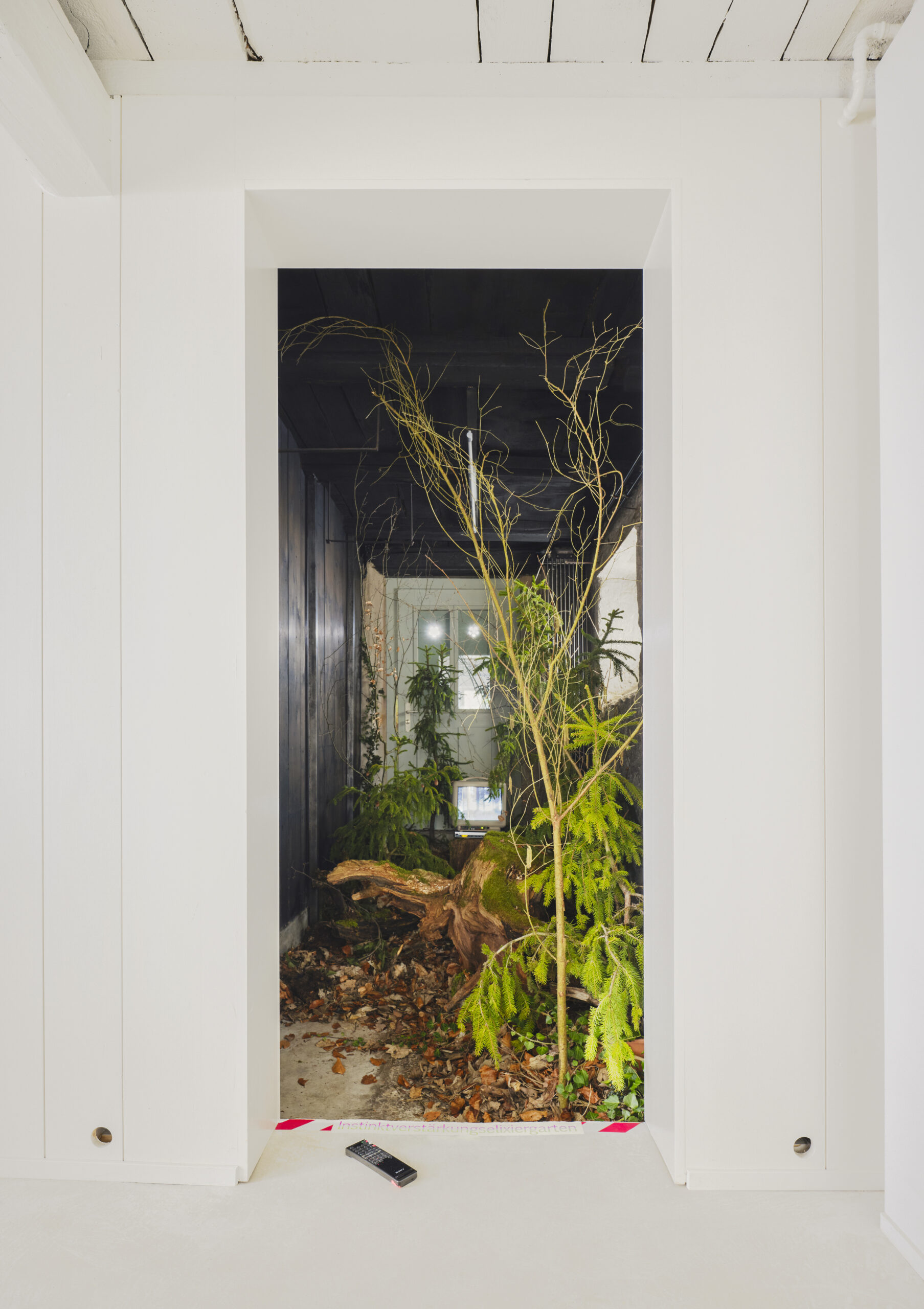 sarahkimstudio. Fotograf Luzern, Adligenswil