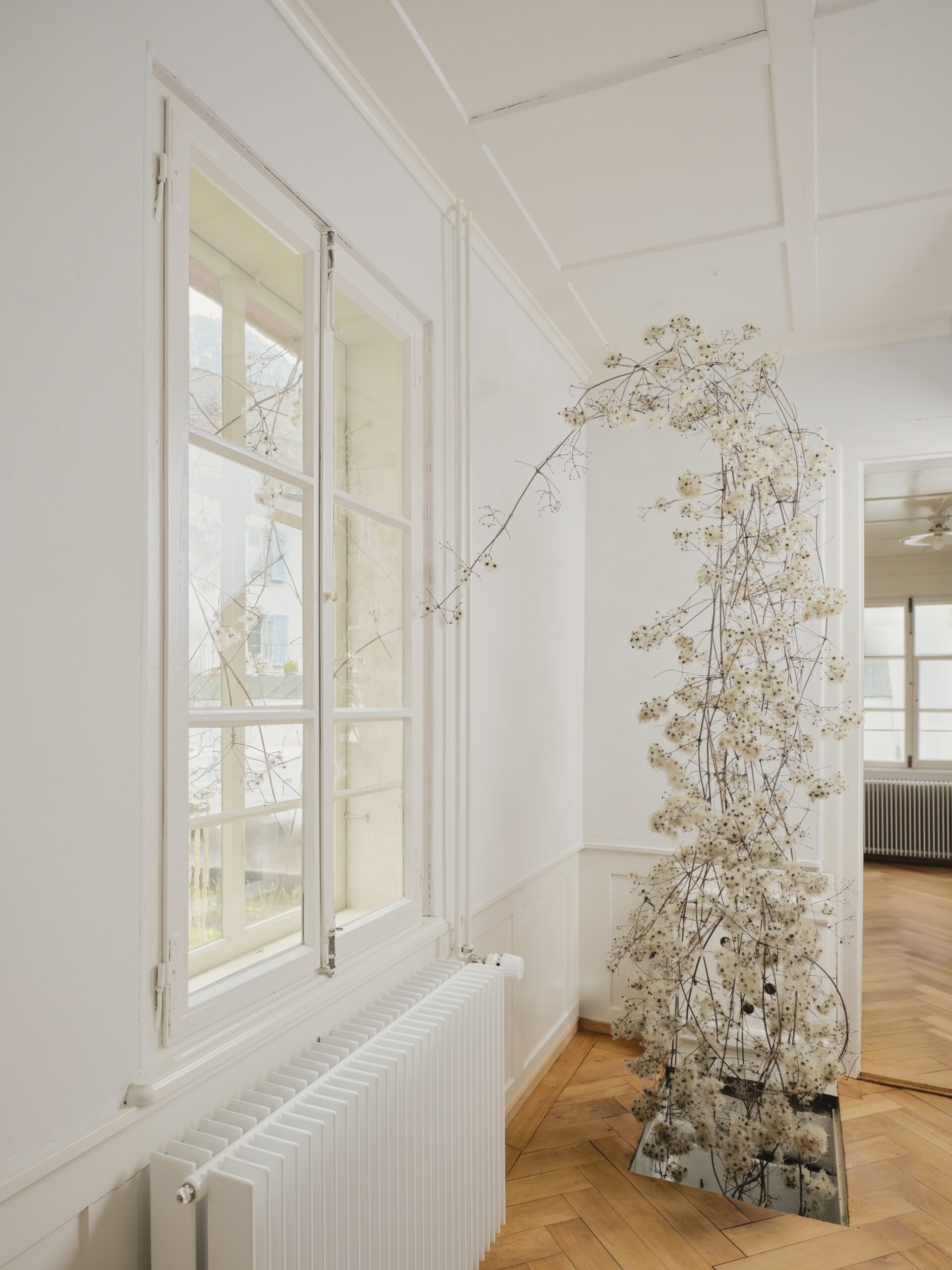sarahkimstudio. Fotograf Luzern, Adligenswil